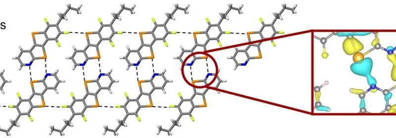 Supramolecular Chalcogen-Bonded Semiconducting Nanoribbons at Work in Lighting Devices
