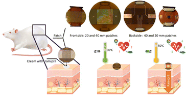 Heat-based transdermal delivery of a ramipril loaded cream for treating hypertension
